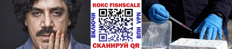 закладка  ссылка на мегу   КОКАИН Fish Scale  Волгодонск 