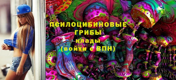 соль курить ск Алзамай